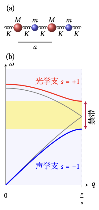 diatomic chain and dispersion relation