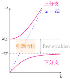 photon and transverse optical phonon coupling