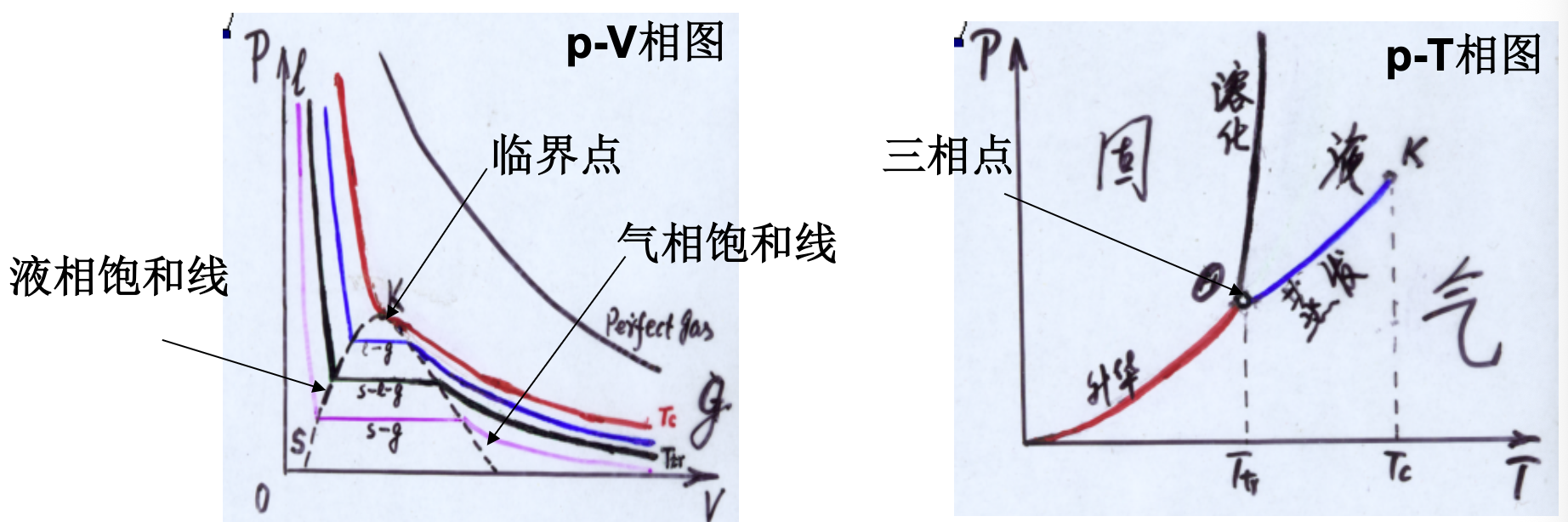 单元系的 p-V 与 p-T 相图, 标出液相和气相饱和线、临界点及三相点