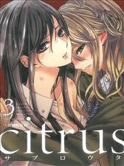 citrus~柑橘味香氣~ poster